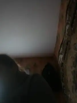 Snapshot of Romashka33011 chatting on 31, 3, 2026 Romashka33011 online show from 31, 3, 2026