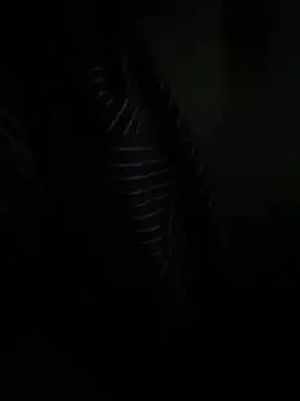 P E R V I T I N online show from 31, 3, 2026