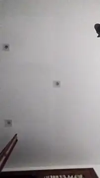 PearlingBunkbed online show from 9, 11, 2025