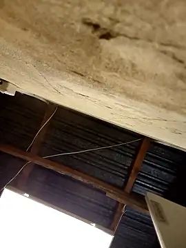 KruellaR1de3 online show from 8, 1, 2026