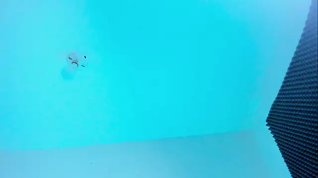 Ellope  online show from 22, 10, 2025