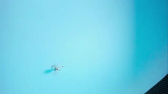 Snapshot of Im_naho chatting on 30, 3, 2026 Im naho online show from 30, 3, 2026