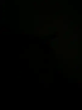 Snapshot of FirstTimeEvr chatting on 7, 7, 2026 FirstTimeEvr online show from 7, 7, 2026