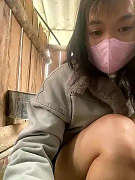 PhanHaa online show from 16, 1, 2026