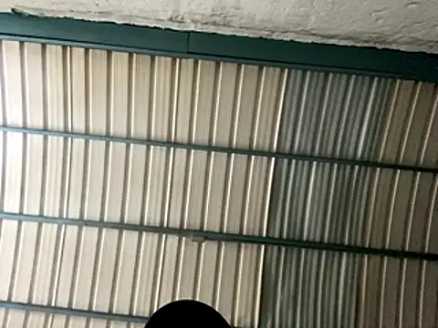 rider239 online show from 24, 10, 2025