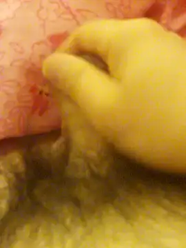 Snapshot of Hl1979 chatting on 27, 2, 2026 Hl1979 online show from 27, 2, 2026