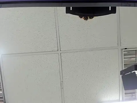 Snapshot of Aisha_hotts777 chatting on 20, 3, 2026 Aisha hotts777 online show from 20, 3, 2026