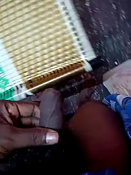 dolphiinn online show from 24, 11, 2025