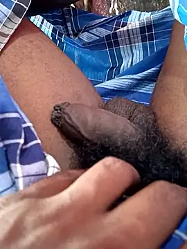 dolphiinn online show from 16, 1, 2026