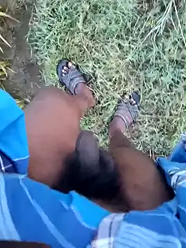 dolphiinn online show from 19, 1, 2026