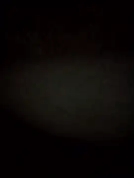 Snapshot of RevokingWaverer chatting on 3, 2, 2026 RevokingWaverer online show from 3, 2, 2026