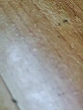 Markroco696 online show from 12, 10, 2025