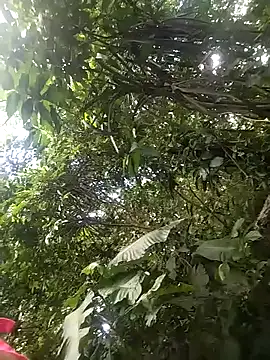 Snapshot of dulcelatin21 chatting on 25, 11, 2025 dulcelatin21 online show from 25, 11, 2025