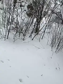 desiredude9 online show from 6, 1, 2026