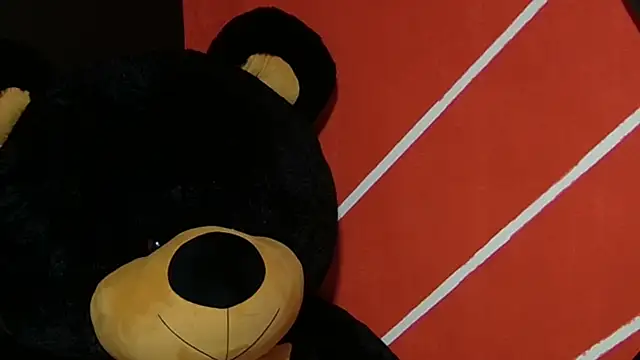 sany noa online show from 12, 11, 2025