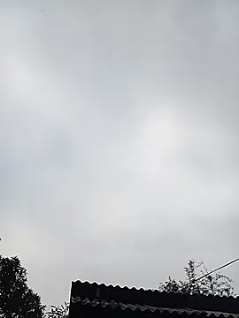 Ngocmi909 online show from 11, 1, 2026