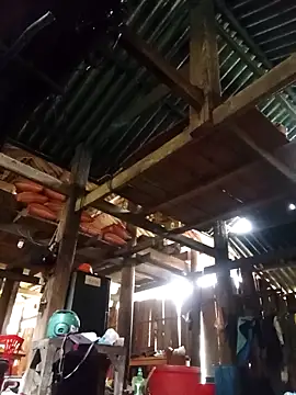 Ngocmi909 online show from 11, 3, 2026