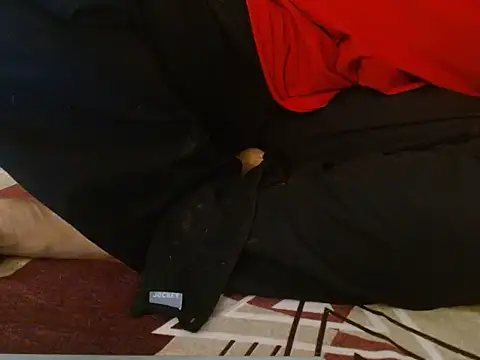 Vaani Singha online show from 12, 11, 2025