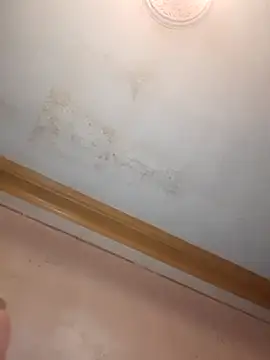 Klubnyhka3991 online show from 16, 12, 2025