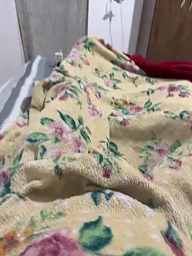 Nupau online show from 7, 3, 2026