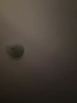 Snapshot of Troydaddy578 chatting on 1, 4, 2026 Troydaddy578 online show from 1, 4, 2026