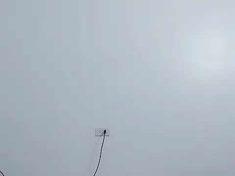 Snapshot of Siglemom_sexy chatting on 1, 4, 2026 Siglemom sexy online show from 1, 4, 2026