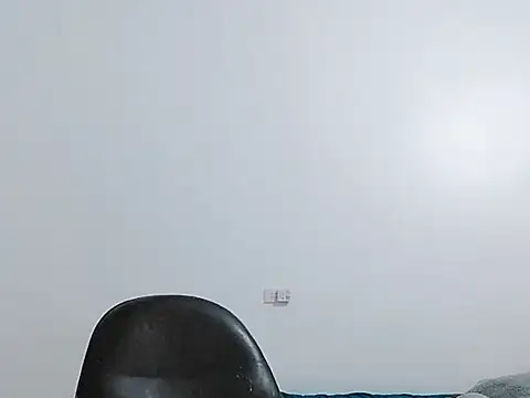 Snapshot of Siglemom_sexy chatting on 15, 4, 2026 Siglemom sexy online show from 15, 4, 2026