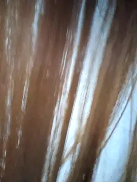 Snapshot of midnightmuse-03 chatting on 14, 3, 2026 midnightmuse-03 online show from 14, 3, 2026