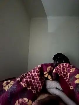 Snapshot of bomcasal chatting on 17, 2, 2026 bomcasal online show from 17, 2, 2026