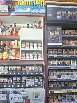 Fluturas2 online show from 9, 9, 2025