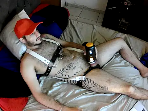 Snapshot of Dolfinhorb chatting on 4, 5, 2026 Dolfinhorb online show from 4, 5, 2026