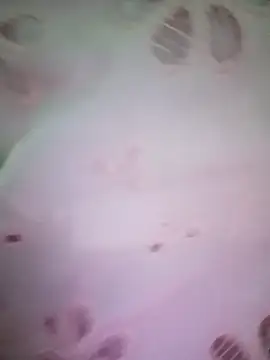 merylove-00 online show from 15, 4, 2026