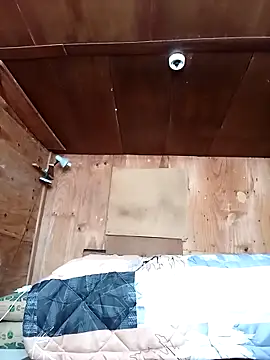 phumlanisanka online show from 23, 12, 2025