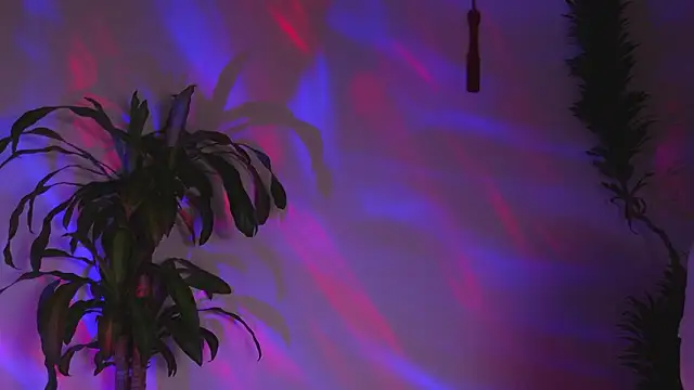 Snapshot of bri_von_dhara__ chatting on 7, 3, 2026 bri von dhara online show from 7, 3, 2026