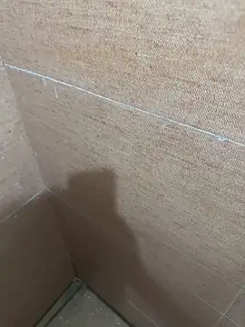 LVarjun online show from 22, 9, 2025