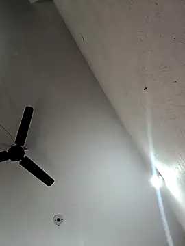 Appypie online show from 12, 11, 2025