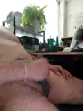 exhibimex online show from 18, 12, 2025