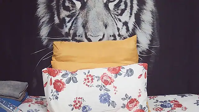 SweetPortableAmber online show from 24, 2, 2026