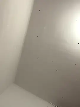 davidxxx099 online show from 22, 11, 2025