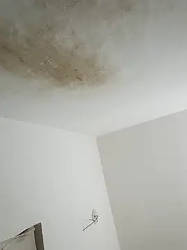 Snapshot of thunderrony chatting on 6, 10, 2025 thunderrony online show from 6, 10, 2025