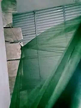 Lisa pusy online show from 14, 11, 2025