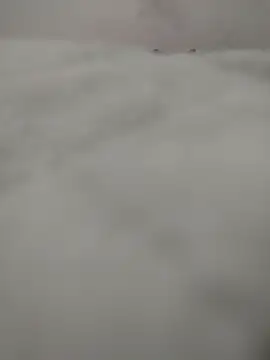 safadomoreno online show from 12, 4, 2026