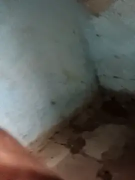 Snapshot of Sheema_tyagi chatting on 11, 11, 2025 Sheema tyagi online show from 11, 11, 2025