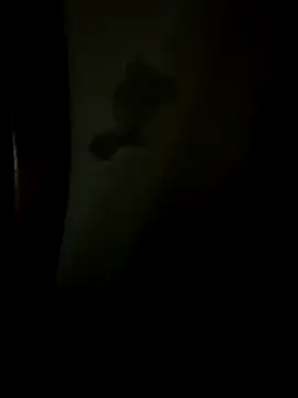 Bruno18cmmmmkk online show from 19, 12, 2025