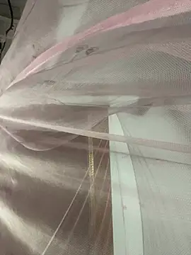 Pyy07 online show from 14, 3, 2026