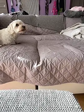 bananasex204 online show from 25, 10, 2025