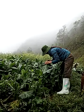 Snapshot of ngan-cute chatting on 12, 3, 2026 ngan-cute online show from 12, 3, 2026