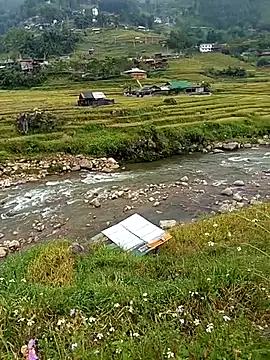 bing-bing88 online show from 14, 9, 2025