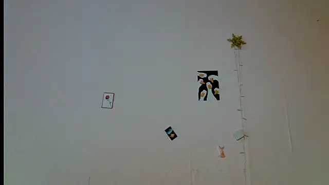  kikiclark   online show from 5, 10, 2025