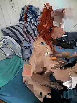 Snapshot of _Pipi_ chatting on 15, 2, 2026 Pipi online show from 15, 2, 2026